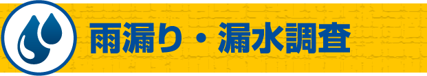 雨漏り・漏水調査