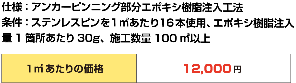 仕様：アンカーピンニング部分エポキシ樹脂注入工法
                                  条件：ステンレスピンを1㎡あたり16本使用、エポキシ樹脂注入
                                  量1箇所あたり30g、施工数量100㎡以上
                                  1㎡あたりの価格	12,000円